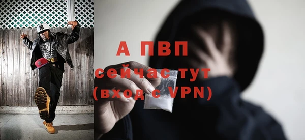 apvp Богородицк